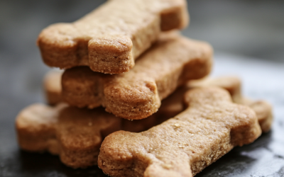 Are You Looking for Easy-to-Make Dog Treats? Try These Simple and Healthy Recipes!