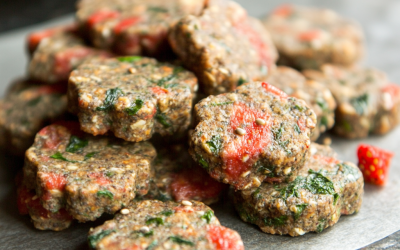 Are Zucchini Dog Treats the Healthy Snack Your Pup Has Been Missing?