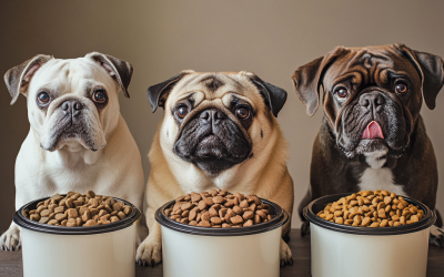Is Homemade Dog Food from a Crockpot a Healthier Choice for Your Pup?